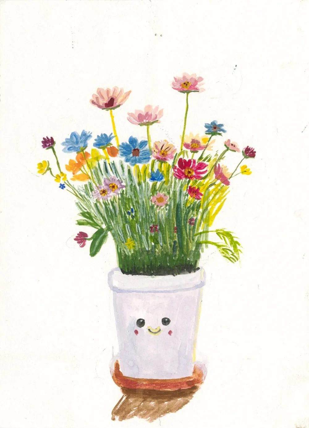 客户作品：笑脸花盆与波斯菊